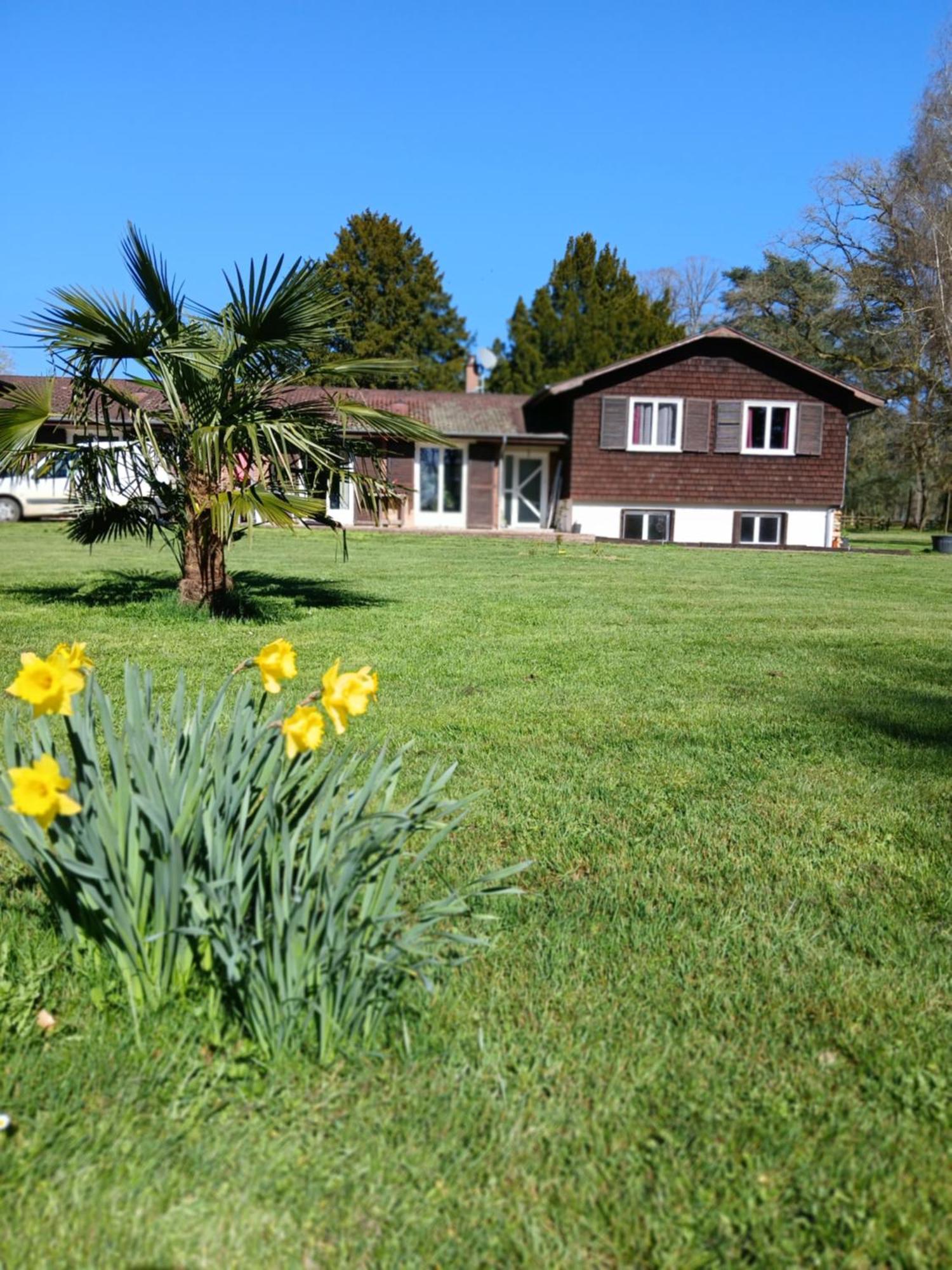 Domaine Des Ifs Bed & Breakfast Le Pin  Exterior photo