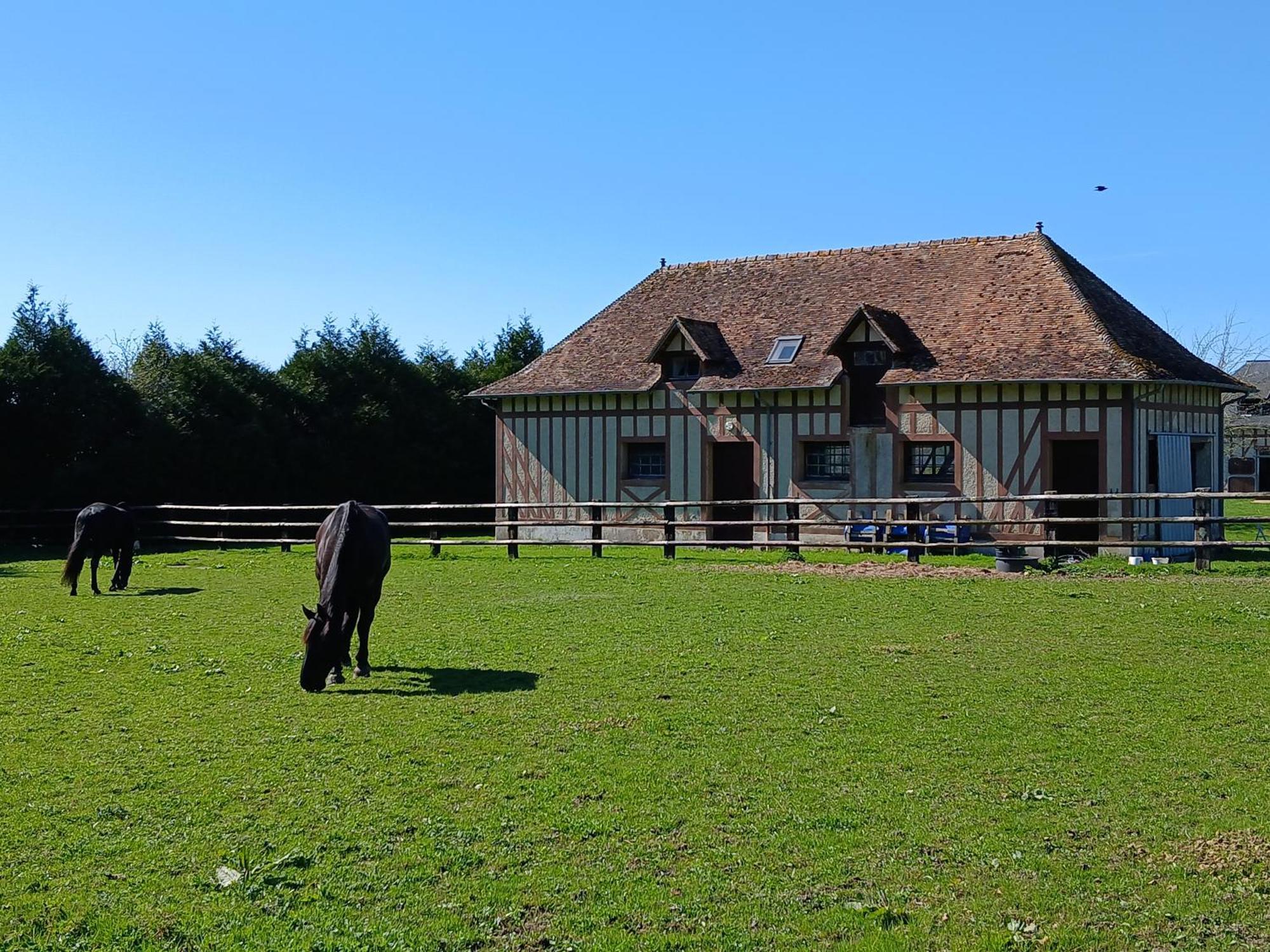 Domaine Des Ifs Bed & Breakfast Le Pin  Exterior photo